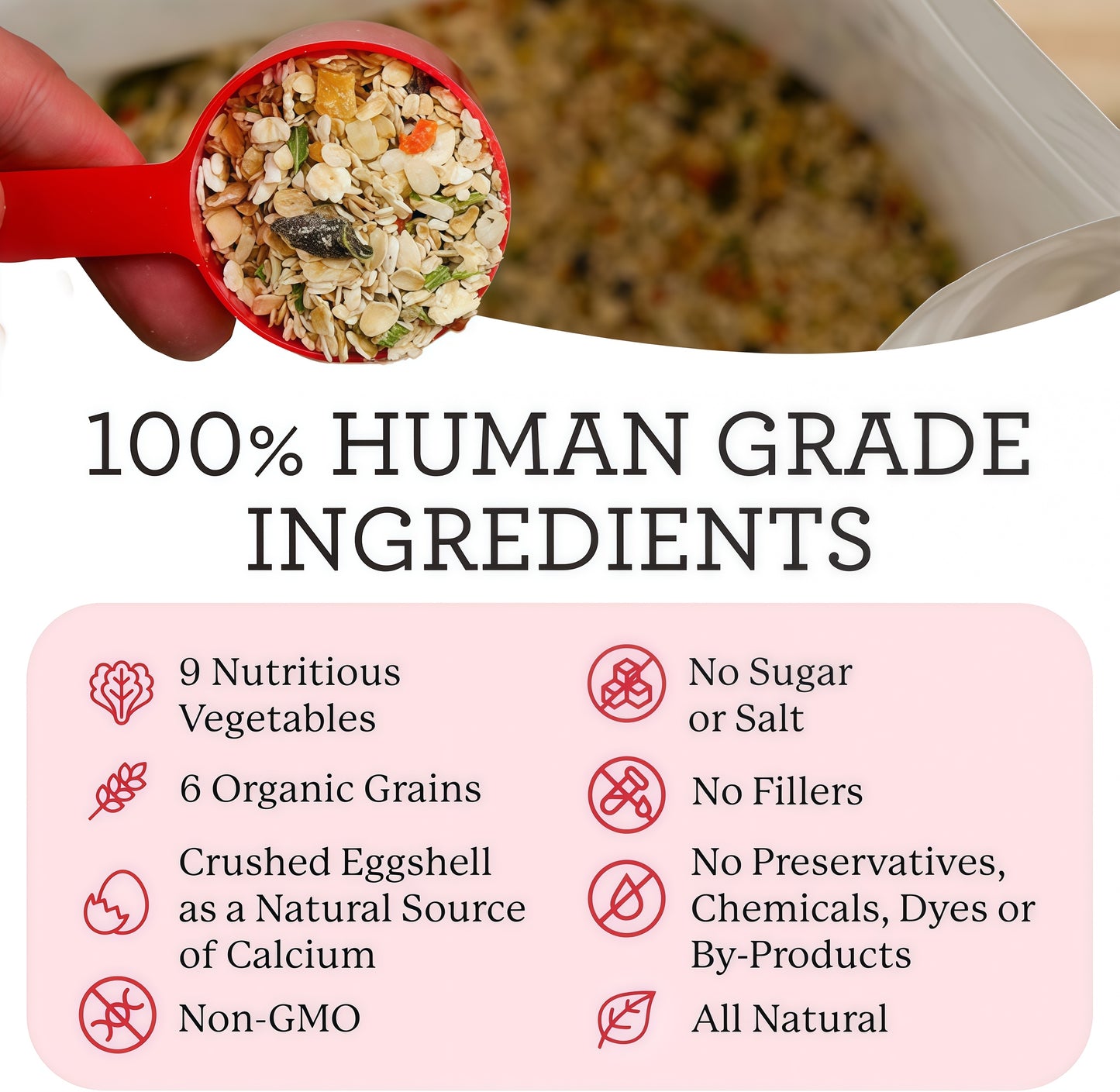 Dr. Harvey's Canine Health Miracle Dog Food (10 Pounds)